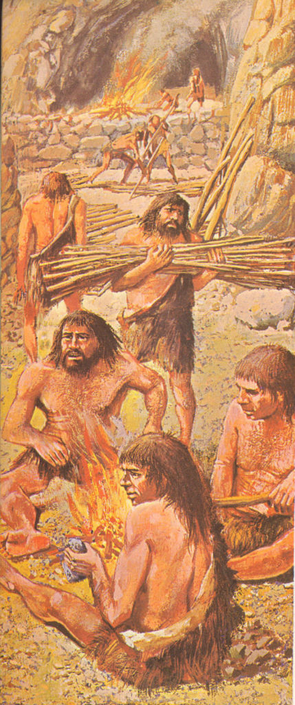 neanderthals live in cave shelters