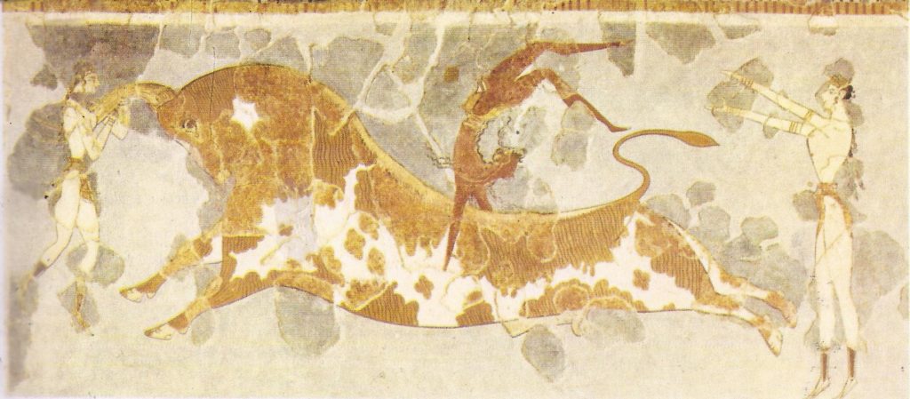 The famous bull games or dances of Minoan Crete are depicted in this fresco from the palace of Knossos.  The religious significance of these games, if they had any is unknown. Some have doubted whether the acrobatic feats shown were, in fact, ever accomplished.