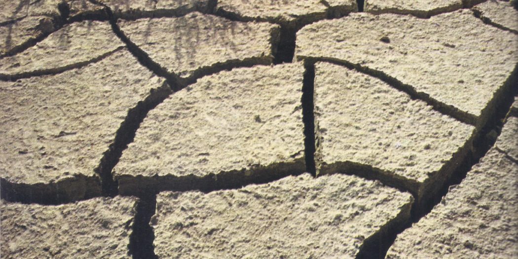 The parched desert lands of the Middle East recall the grim terrain crossed by the Israelites under Moses in the Exodus from Egypt. (The picture shows the cracked soil and sparse vegetation of the Negev, near the Dead Sea.)