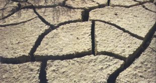 The parched desert lands of the Middle East recall the grim terrain crossed by the Israelites under Moses in the Exodus from Egypt. (The picture shows the cracked soil and sparse vegetation of the Negev, near the Dead Sea.)