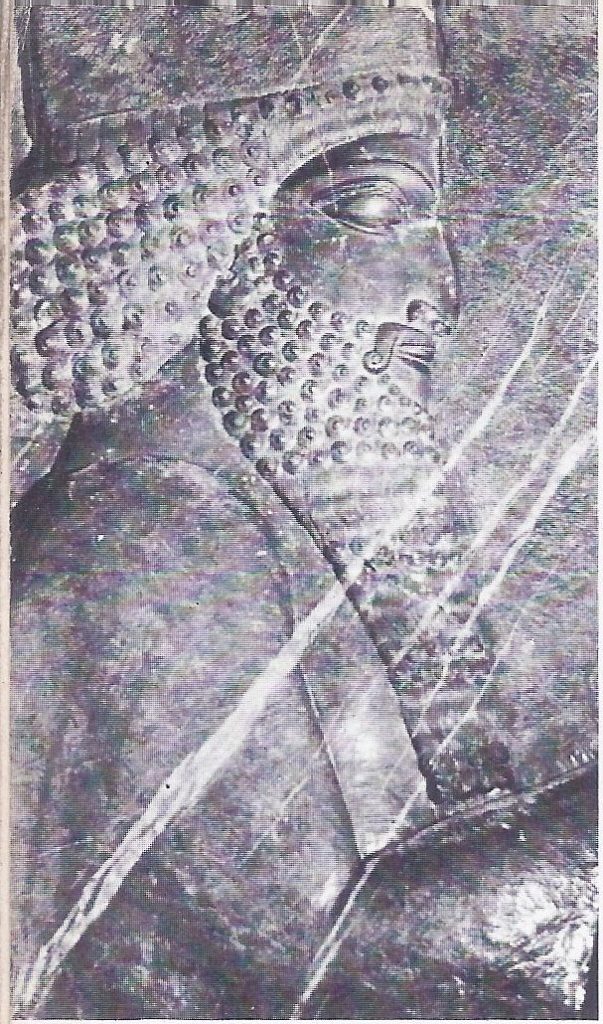 King Xerxes of Persia; from the palace at Persepolis.