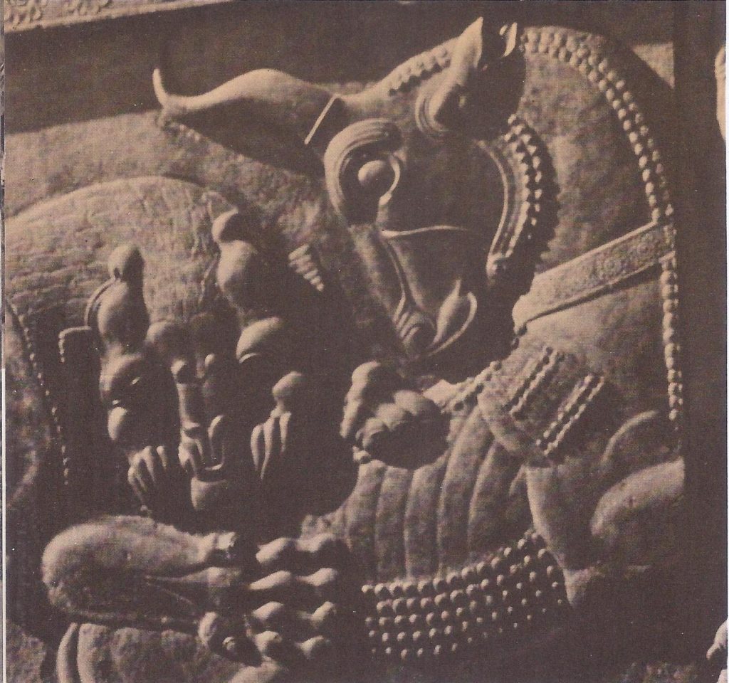 Temple relief from Persepolis, show a lion attacking a bull. The vigorous carving is typical of the art of the Persian empire at the time of Darius.